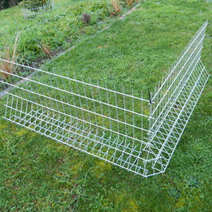 Fence best sale for rabbits